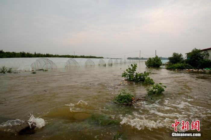 7月22日，安陽市西于曹村附近，積水已經漫過301省道，部分房屋農田被淹。19日至22日，河南安陽遭遇強降水，平均降水304.6毫米。據氣象部門預測，22日16時以后安陽市有分散性陣雨，23日白天降水趨于結束。圖為被淹的農田。 <a target='_blank' href='http://www.chinanews.com/' _fcksavedurl='http://www.chinanews.com/' _fcksavedurl='http://www.chinanews.com/'>中新社</a>記者 　張暢 攝 　
